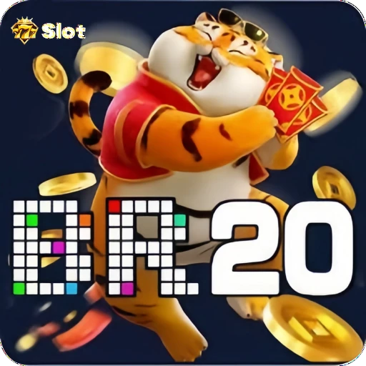 br20 Logo